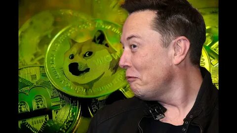 Elon Musk's Next Move: Dogecoin 2.0? A Glimpse into the Future of Crypto with Tesla’s Visionary - Meltyfan