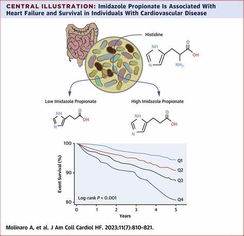 Imidazole propionate is a driver and therapeutic target in atherosclerosis
