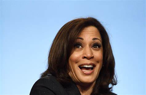 Kamala Harris rattles Silicon Valley elite with prospect of tax on unrealized gains - Financial Post