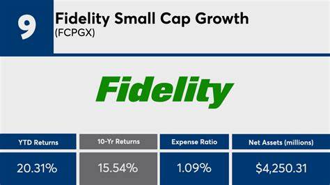 Fidelity Small Cap Growth