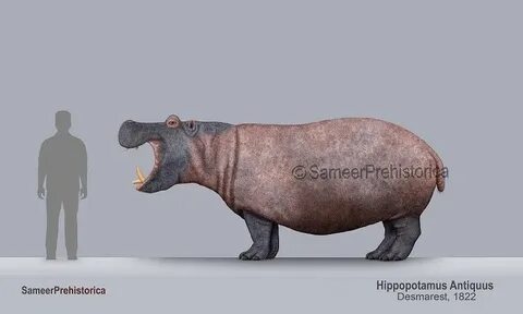 Anthropic's 9000-pound fictional hippo