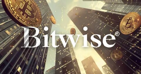 Bitwise CIO says market is ‘not bullish enough’ amid rising political endorsements - CryptoSlate