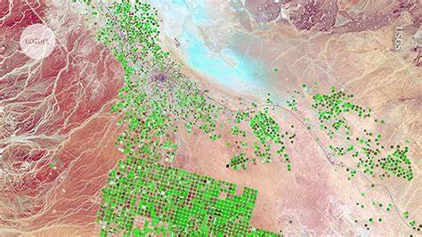 Google AI model mines trillions of images to create realtime maps of Earth