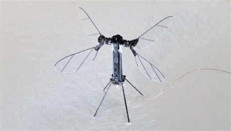 China unveils tiny terrifying mosquito-sized drone to be used for spying