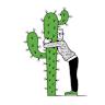 Hugging Your Cactus