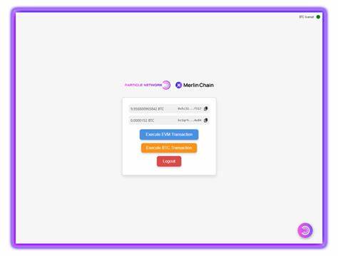 Particle Network BTC Connect Merlin Demo