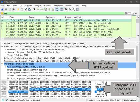 Show HN: NetNerve AI-powered packet analysis that explains .cap in plain English