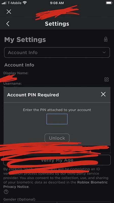 Where/How do I find out my account "PIN".? I am trying to add my 