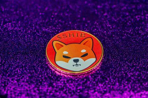 SHIB Devs Launch Name Service in Decentralized Identity Push - Decrypt