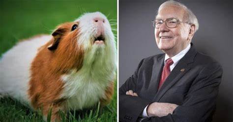 Crypto-Trading Hamster Has Quietly Outperformed Warren Buffett For Months - Boss Hunting