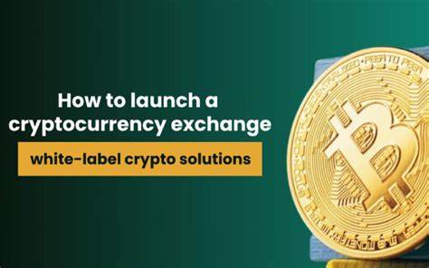 How to launch a cryptocurrency exchange using white-label crypto solutions - NASSCOM Community