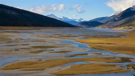 Medicine Lake, Alberta: Disappearing Lake - Grazy Goat