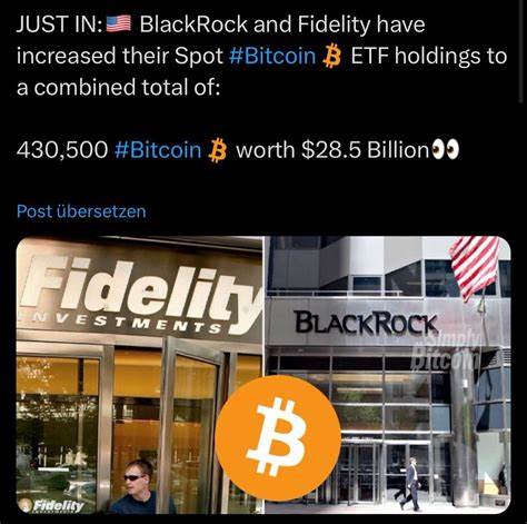 Auch am Allzeithoch: BlackRock und Fidelity kaufen massiv Bitcoin und Ethereum!