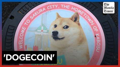 Rescue pup to meme star: The real-life ‘Dogecoin’ dog - The Star Online