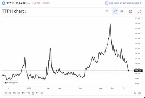 Will global energy prices fall this year?