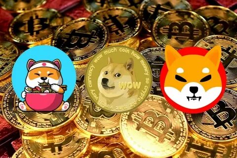 Dogecoin Plunges 9% But Top Analyst Believes Meme Coin Could Stage A 'Strong' Rebound In Case This Happens - Benzinga