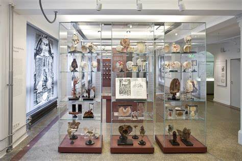 A Medical-History Museum Contends with Its Collection of Human Remains
