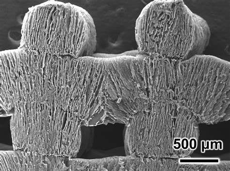 Breakthrough Sponge Could Change How the World Gets Clean Water
