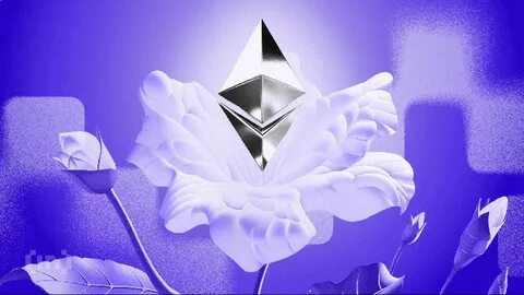 Lomashuk Clarifies No ‘Second Foundation’ Created Amid Ethereum Debate - The Shib Daily