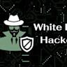 Web3 White Hats Earning Millions, Outperforming $300K Cybersecurity Roles