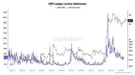 XRP Price Prediction: Onchain Activity Flashes Danger – Big Drop Possible?