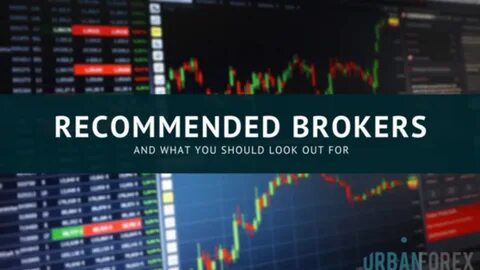 10 Best Online Brokers & Trading Platforms of January 2025 - The Motley Fool
