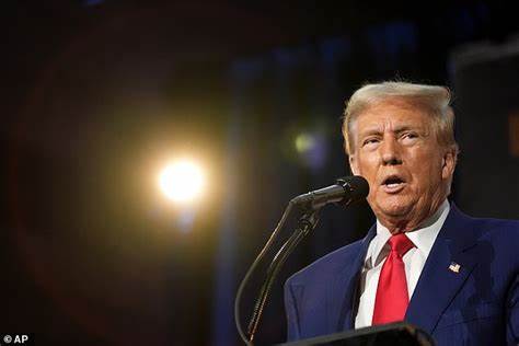 Could Trump’s Tariff Revenues Fund a New U.S. Sovereign Wealth Fund? - U.S. Global Investors