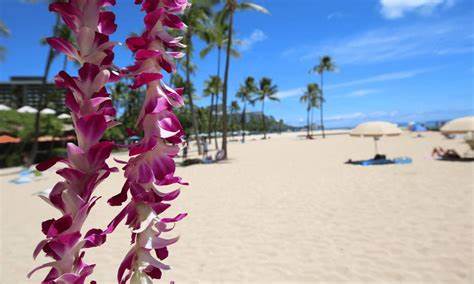 Hawaii emerging as crypto hub following new crypto regulations