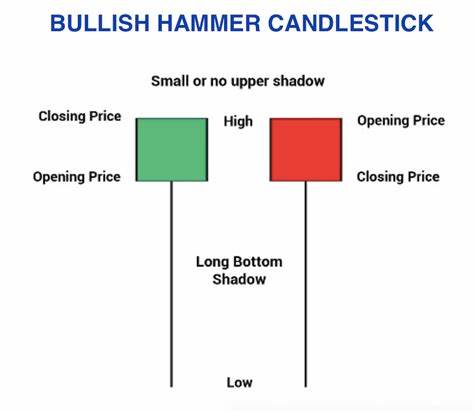 Stock Market Highlights: Nifty forms a bullish hammer pattern. What traders should do on Tuesday - The Economic Times