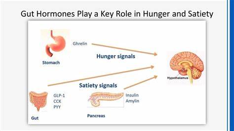 Food structure plays key role in which gut hormones are released