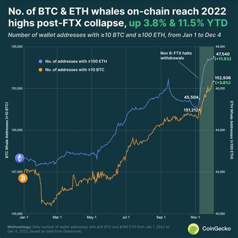 Bitcoin price continues to plummet as whale activities deepen - FXStreet