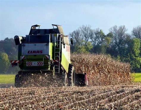 Corn Holds onto Gains to Extend Bounce into Long Weekend