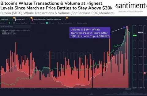 Bitcoin Price Analysis: Whale Transactions Down 30% as BTC Approaches $100K - CoinGape