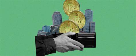 The Guys Who Took Their Paychecks in Crypto Are Feeling the Burn - MEL Magazine