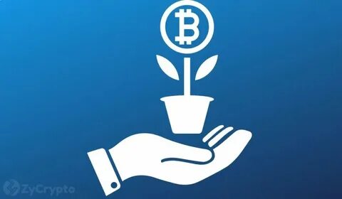 Major Victory For Crypto Industry As Judge Halts SEC’s Lawsuit Against Coinbase - ZyCrypto