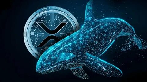 Ripple wins… what if you had invested $10k in XRP in 2016? - TheStreet