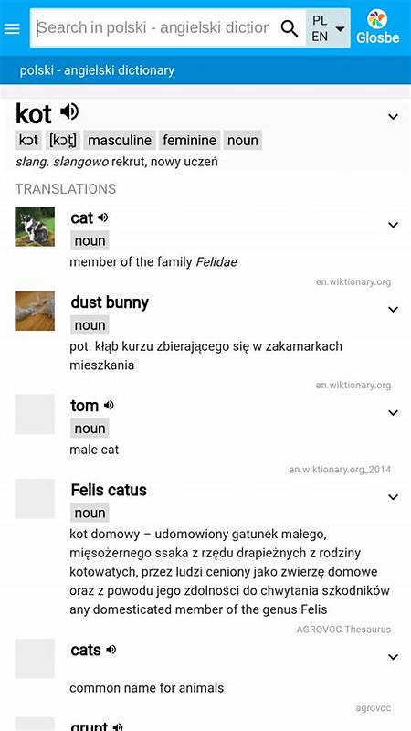query po polsku, tłumaczenie, słownik angielsko - polski | Glosbe