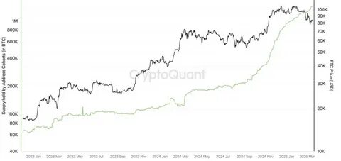 Bitcoin long-term holder behavior shift signals 'unique market dynamic' — Research - TradingView