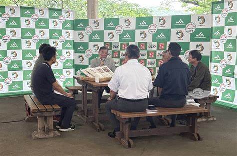 Single-seat districts hold promise of success in Upper House election