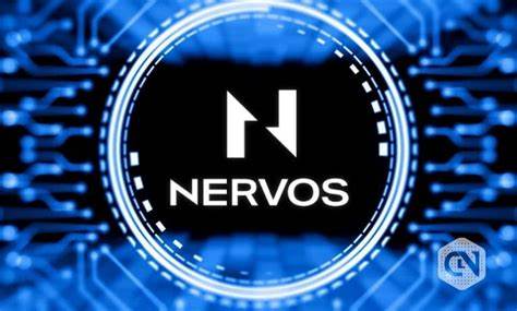 Nervos Network (CKB) Skyrockets by 100%, Price Correction Ahead? - Coinpedia Fintech News