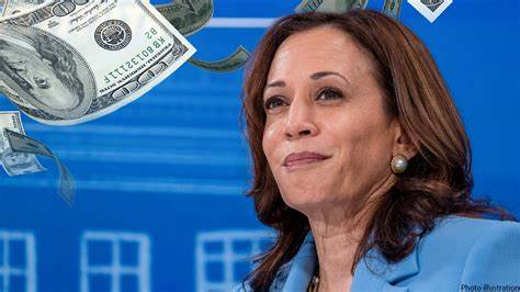 Budget watchdog bites at Harris' 'blank slate' policy platform: This is a 'really dire' situation - Fox Business
