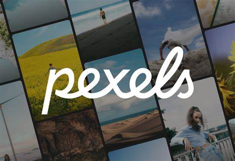 Discover the Best of Pexels
