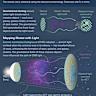 Dark matter, dark energy, and more