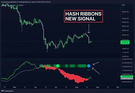 Hash Ribbons Signal Ends – Here’s What It Could Mean for Bitcoin’s Next Move