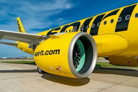 What happens to my flight now that Spirit Airlines has filed for bankruptcy? - Yahoo