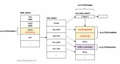 Modifying process names in Unix-like systems