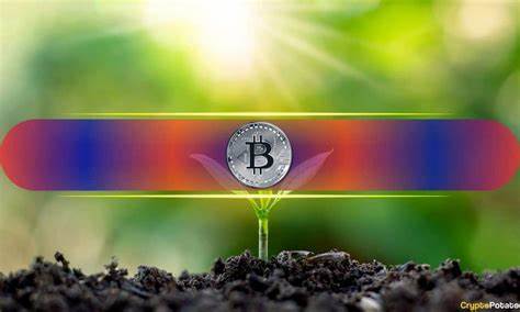 Bitcoin’s Price is Nowhere Near Overheating Despite Surge to $123K: CryptoQuant