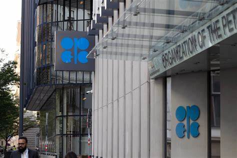 OPEC says world economy may do better in second half of year