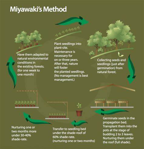 The Miyawaki Method of micro-forestry