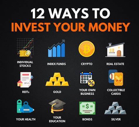 What to Invest in: How to use Your Money to Make Money